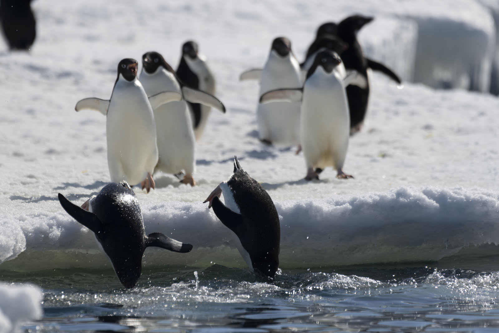 GYT 20221211 171159  DSC0843