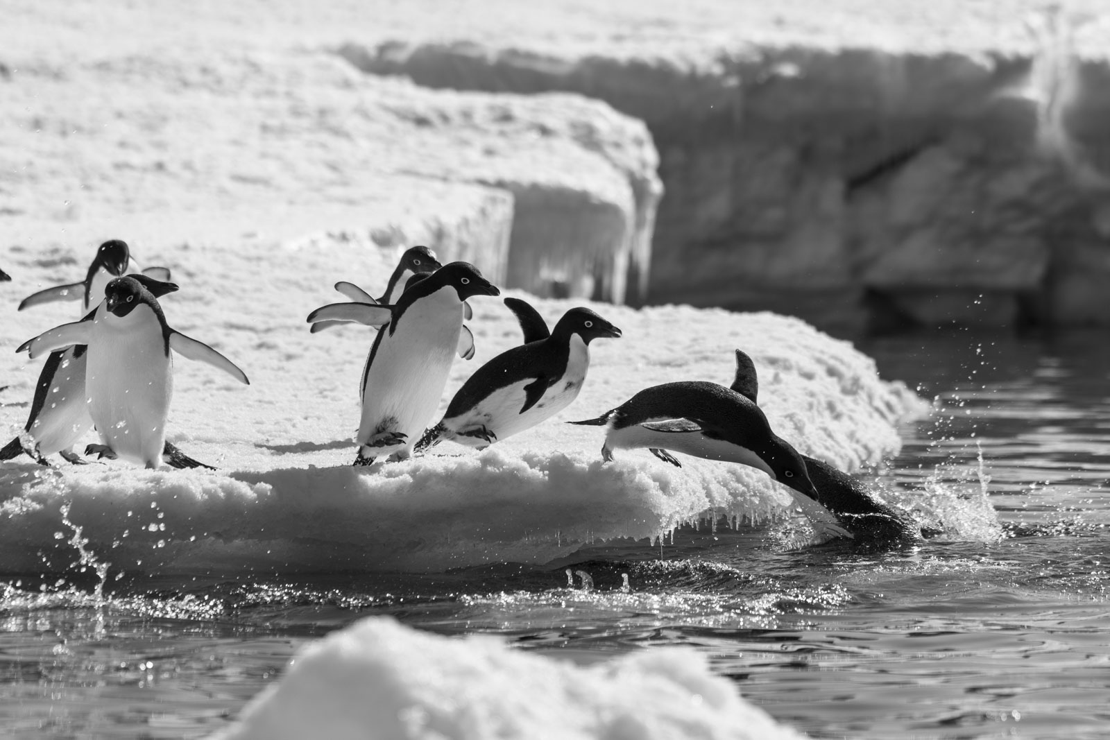 GYT 20221211 171336  DSC0867