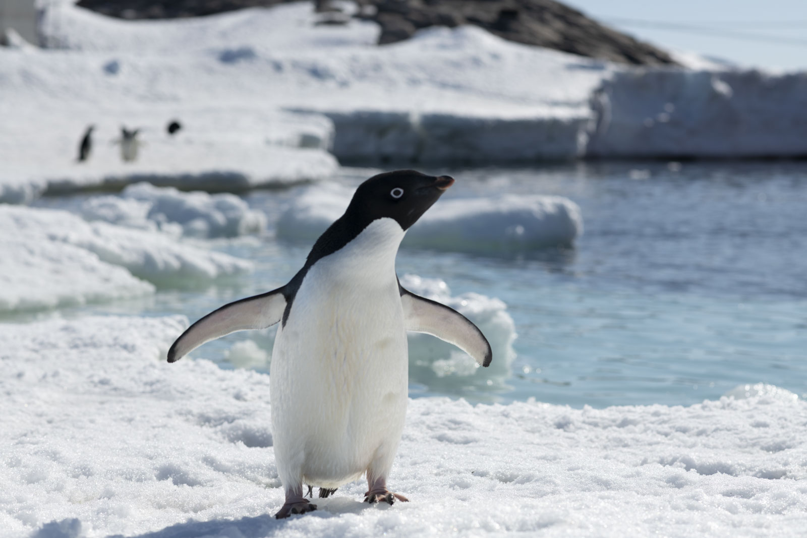 GYT 20221211 171702  DSC0872