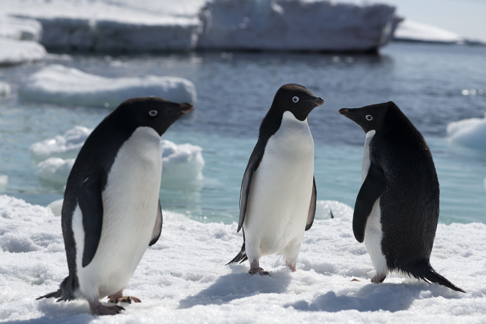 GYT 20221211 171726  DSC0874