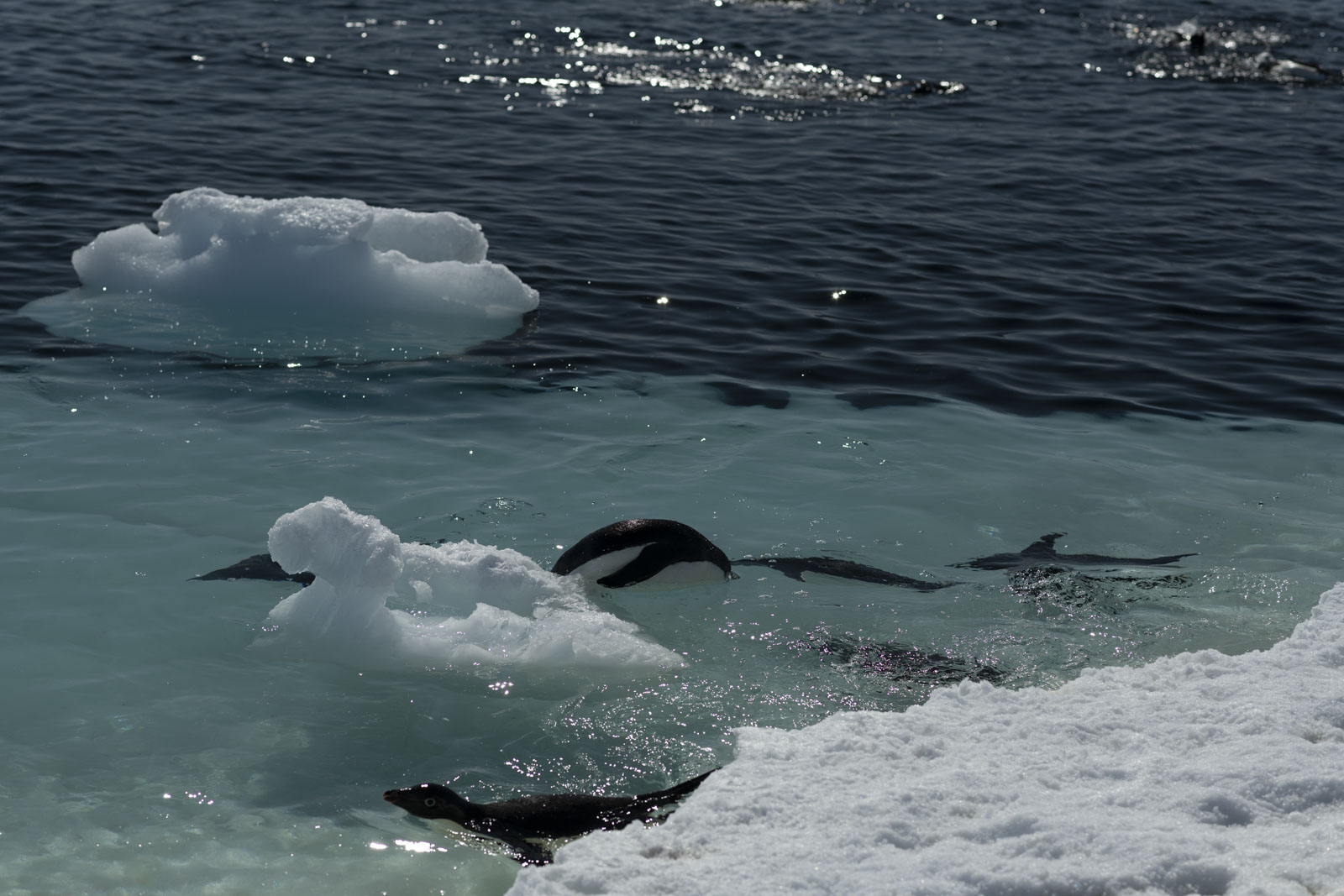 GYT 20221211 171847  DSC0877