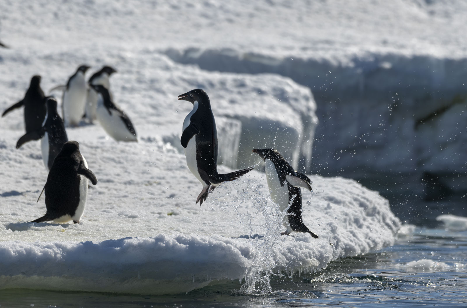 GYT 20221211 172541  DSC0890