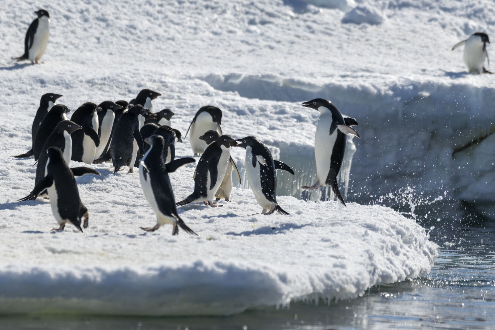 GYT 20221211 172654  DSC0892