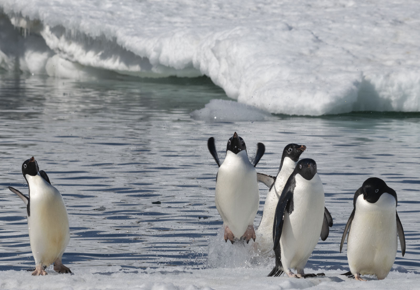 GYT 20221211 174018  DSC0905 2