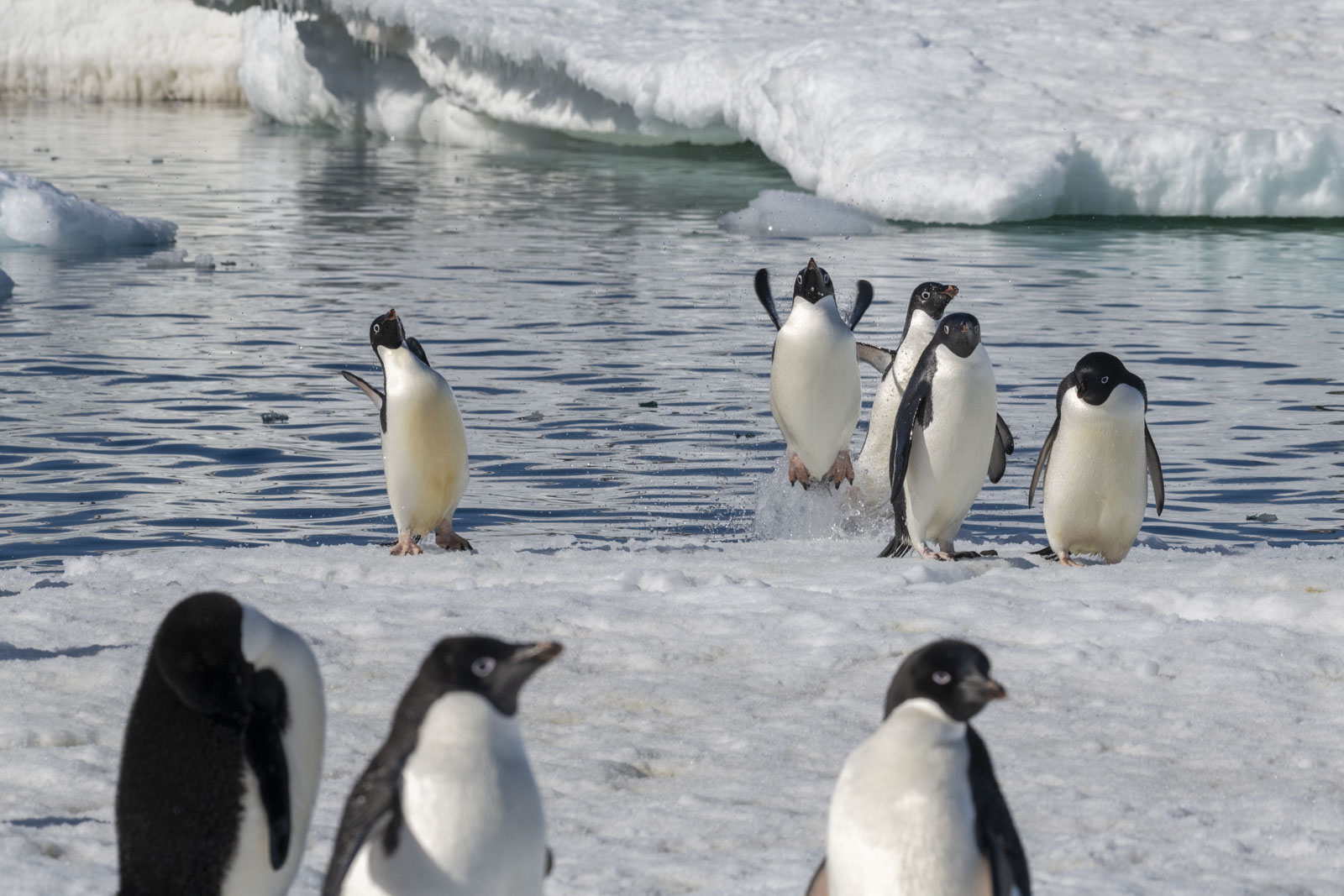 GYT 20221211 174018  DSC0905