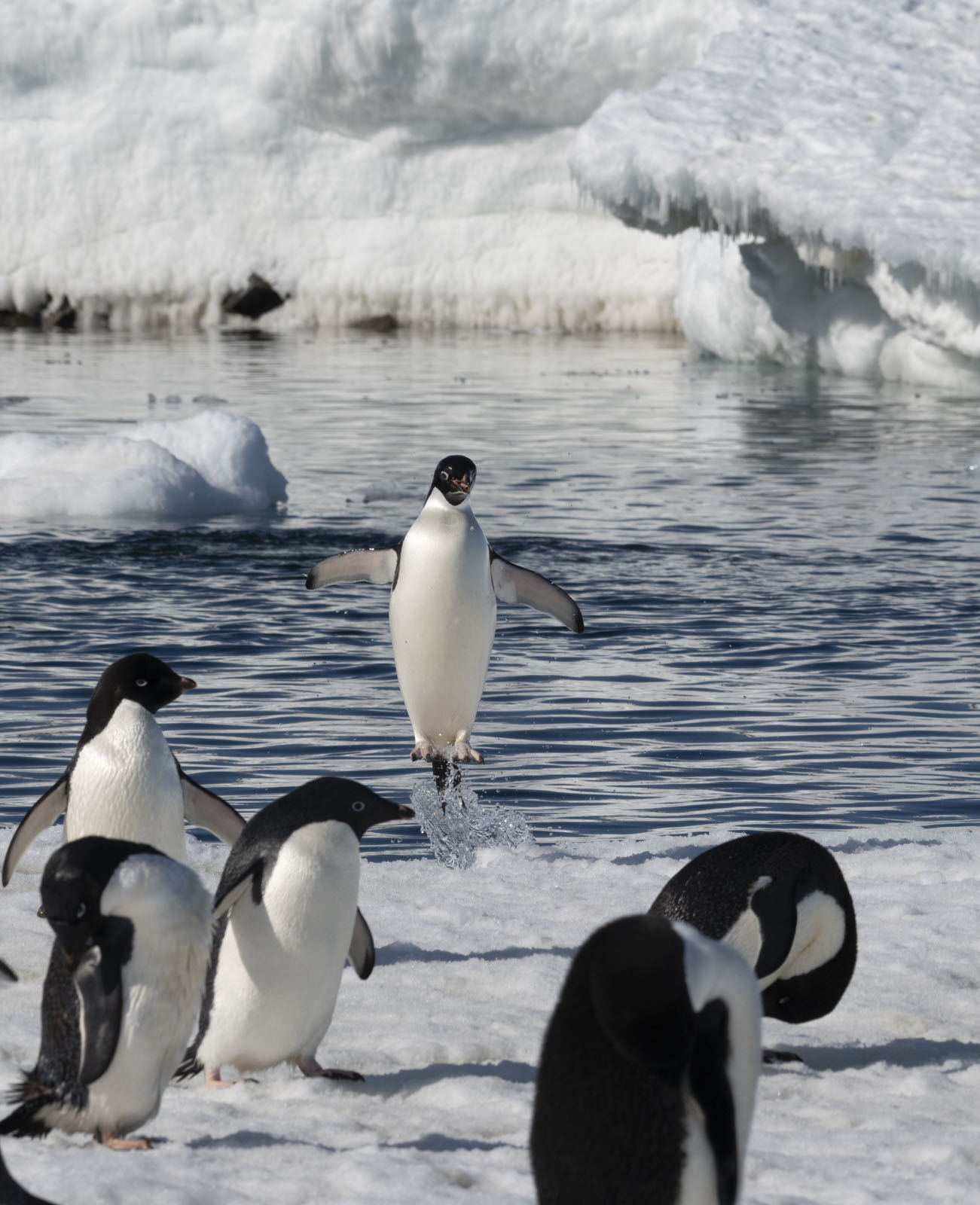 GYT 20221211 174202  DSC0908 2