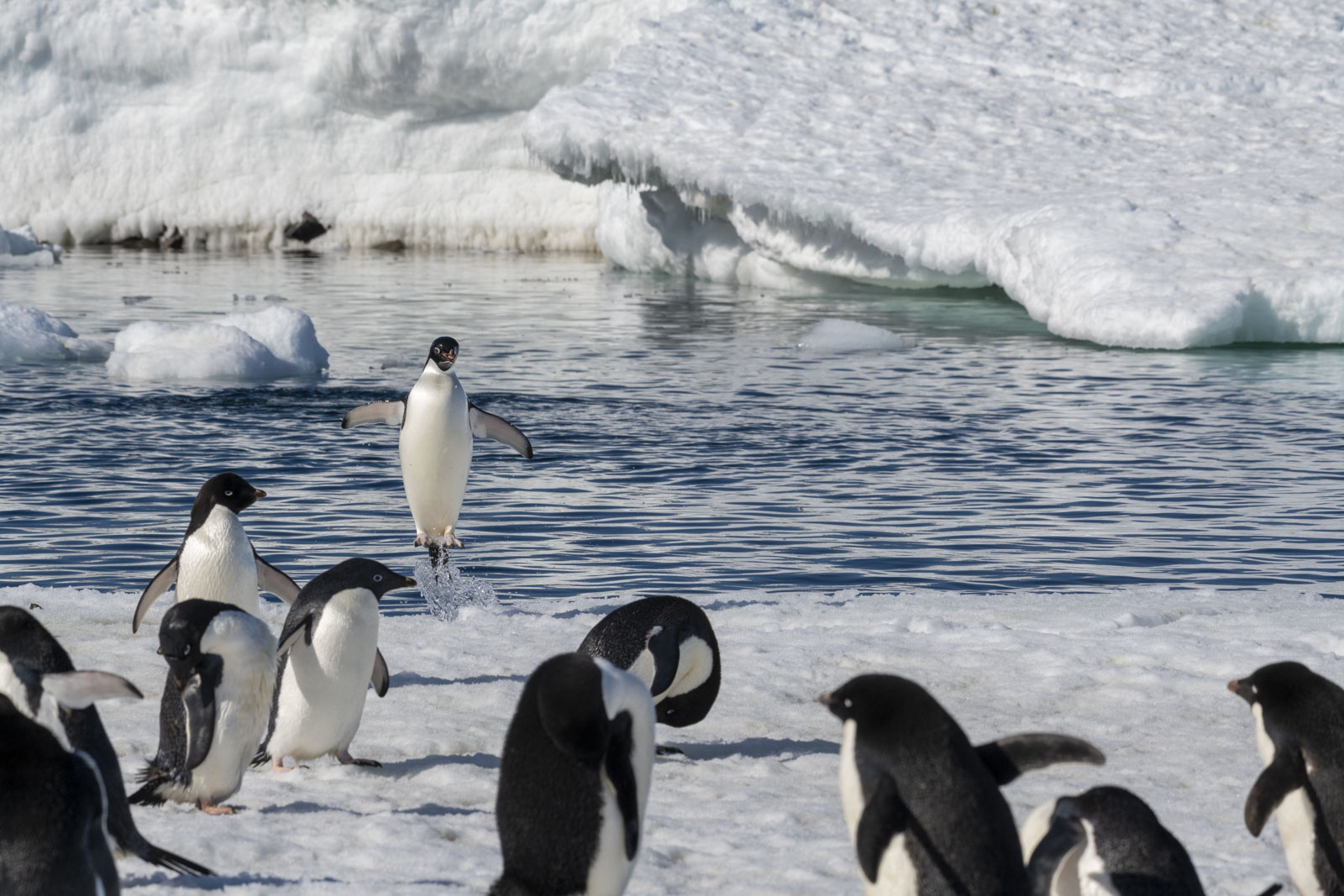 GYT 20221211 174202  DSC0908