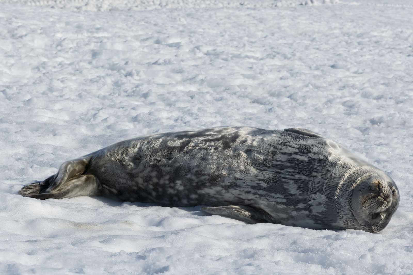 GYT 20221211 175442  DSC0917