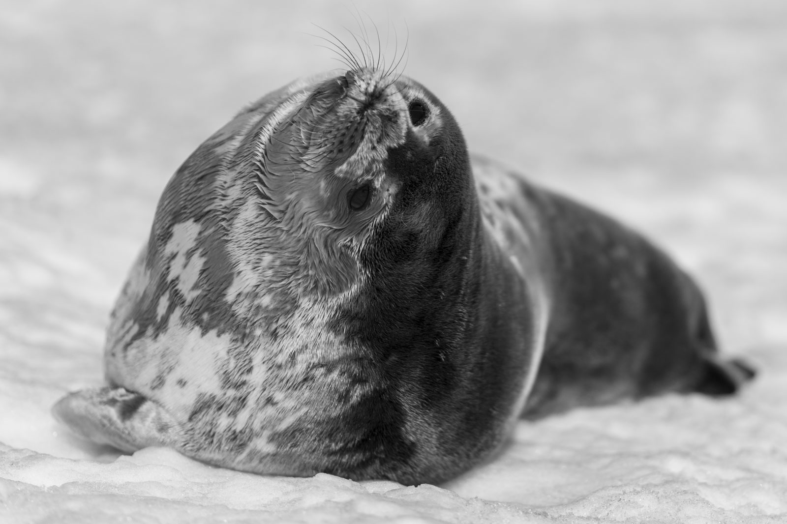 GYT 20221211 175620  DSC0922