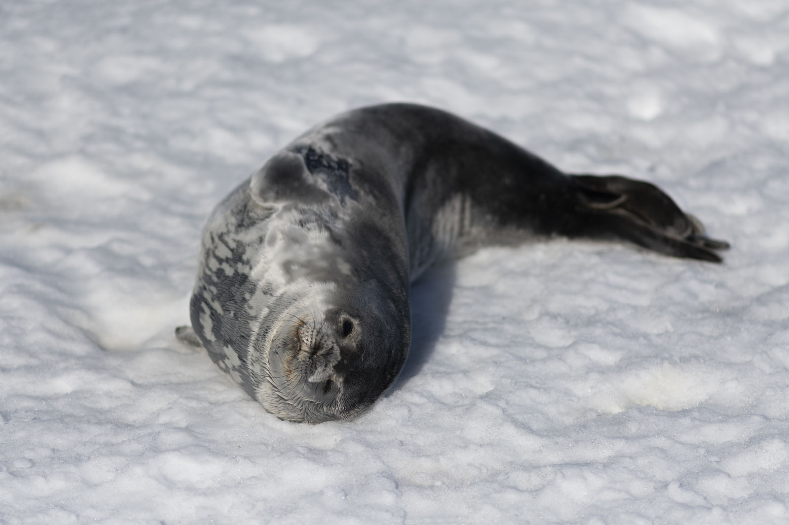 GYT 20221211 175652  DSC0926