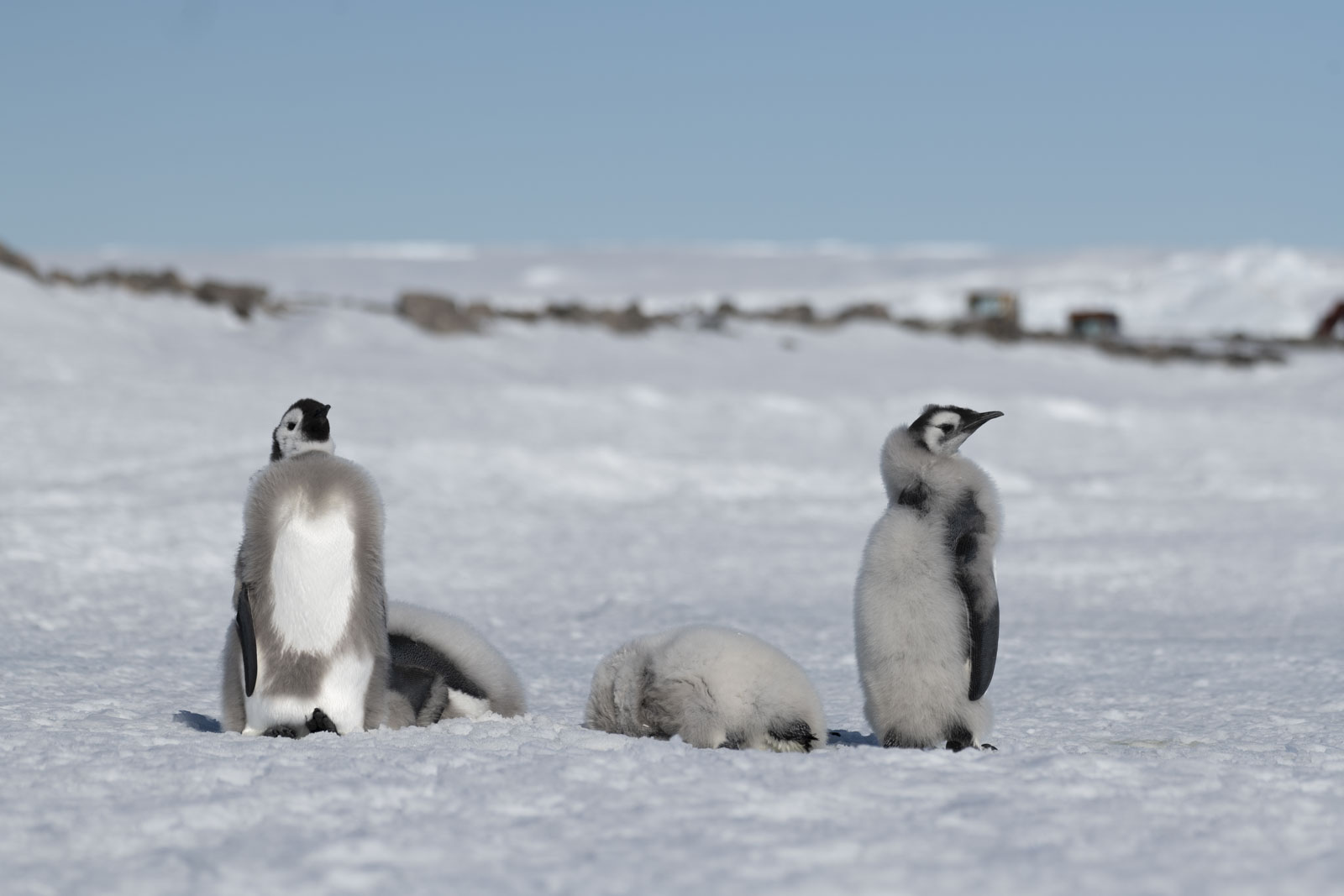 GYT 20221211 180046  DSC0931