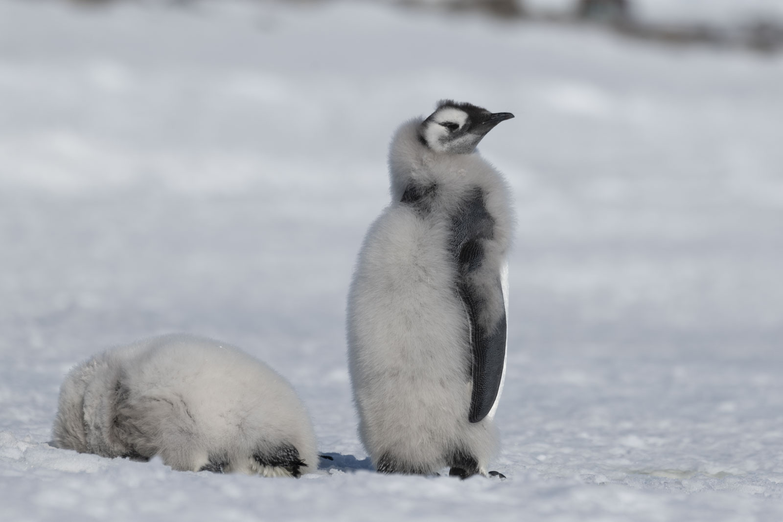 GYT 20221211 180057  DSC0932