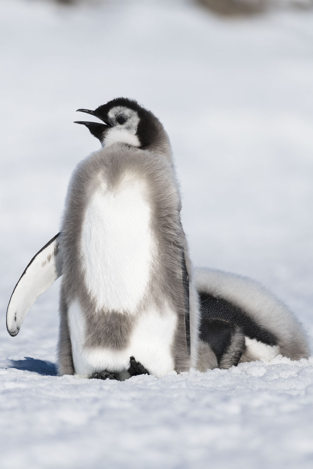 GYT 20221211 180142  DSC0937