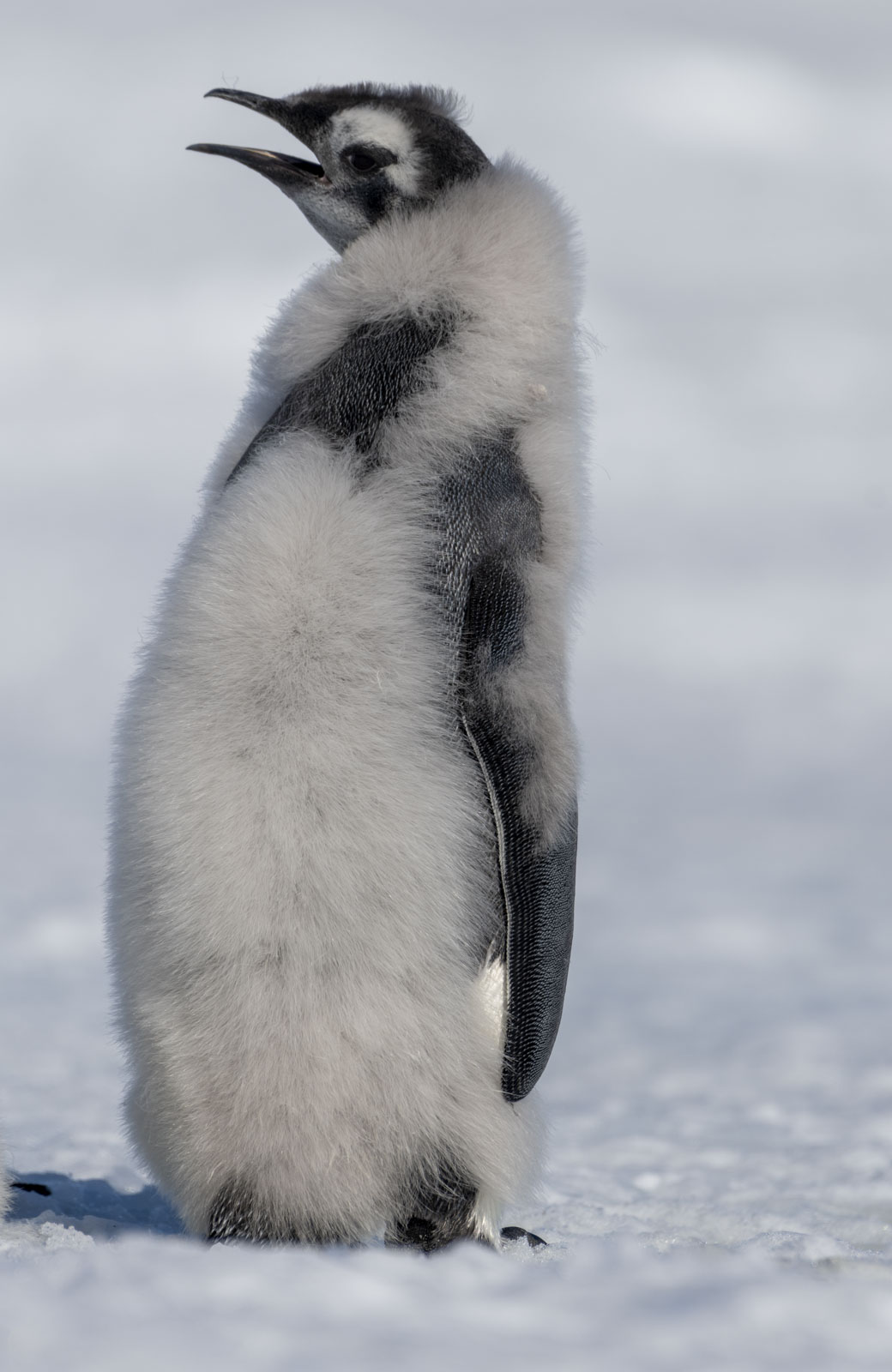 GYT 20221211 180217  DSC0938