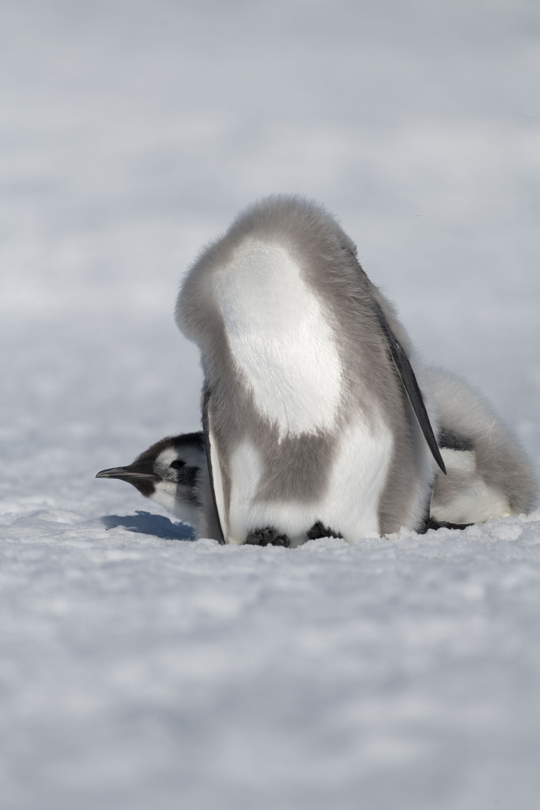 GYT 20221211 180230  DSC0941