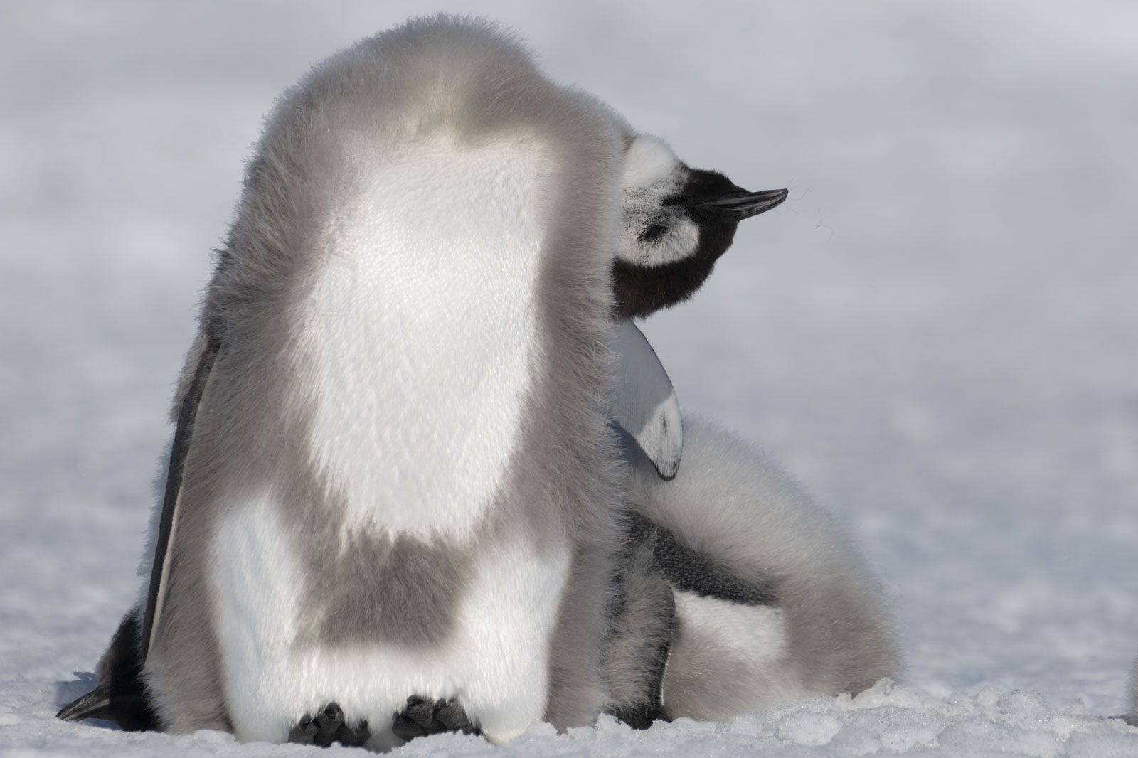 GYT 20221211 180318  DSC0944