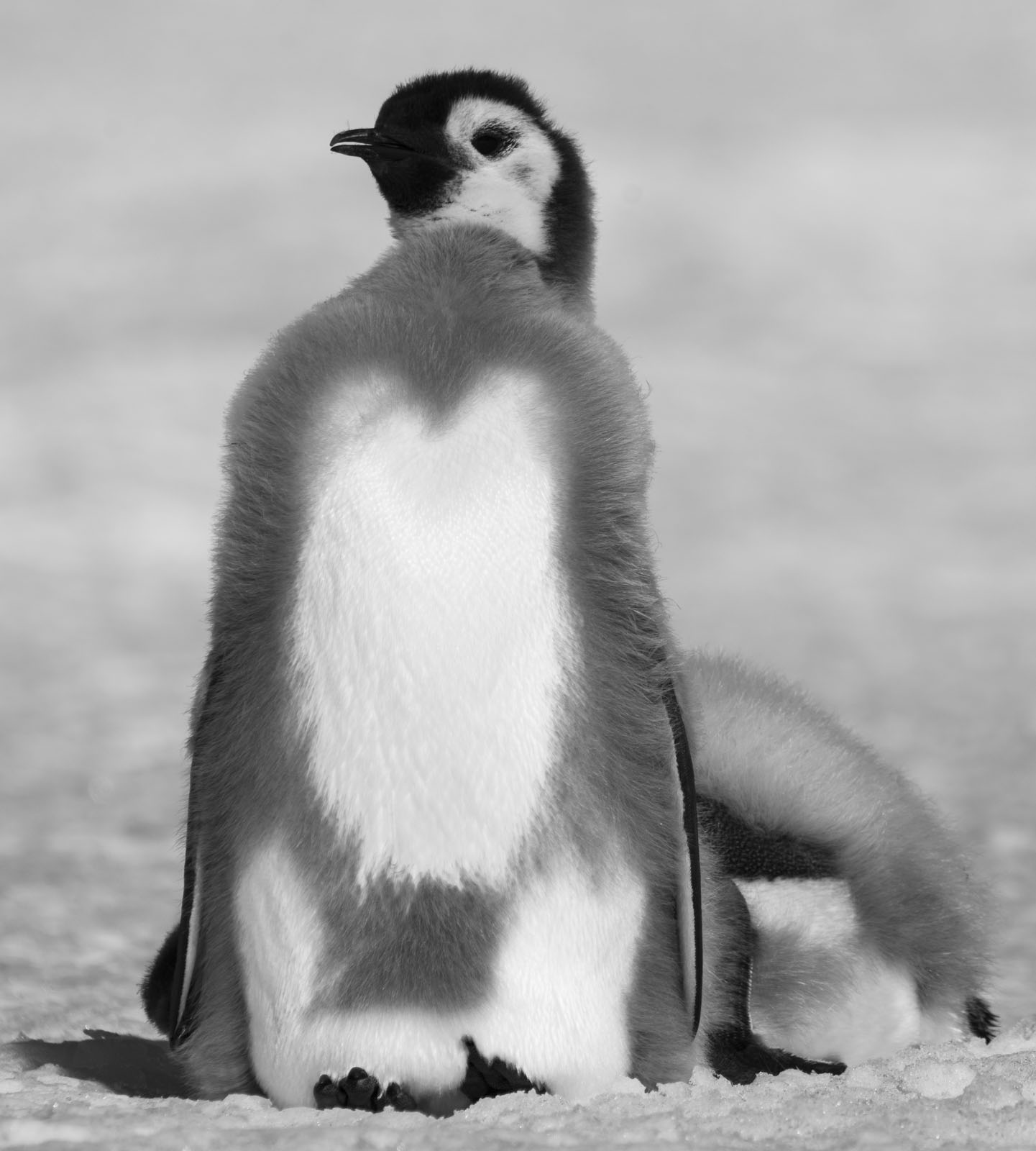 GYT 20221211 180334  DSC0945