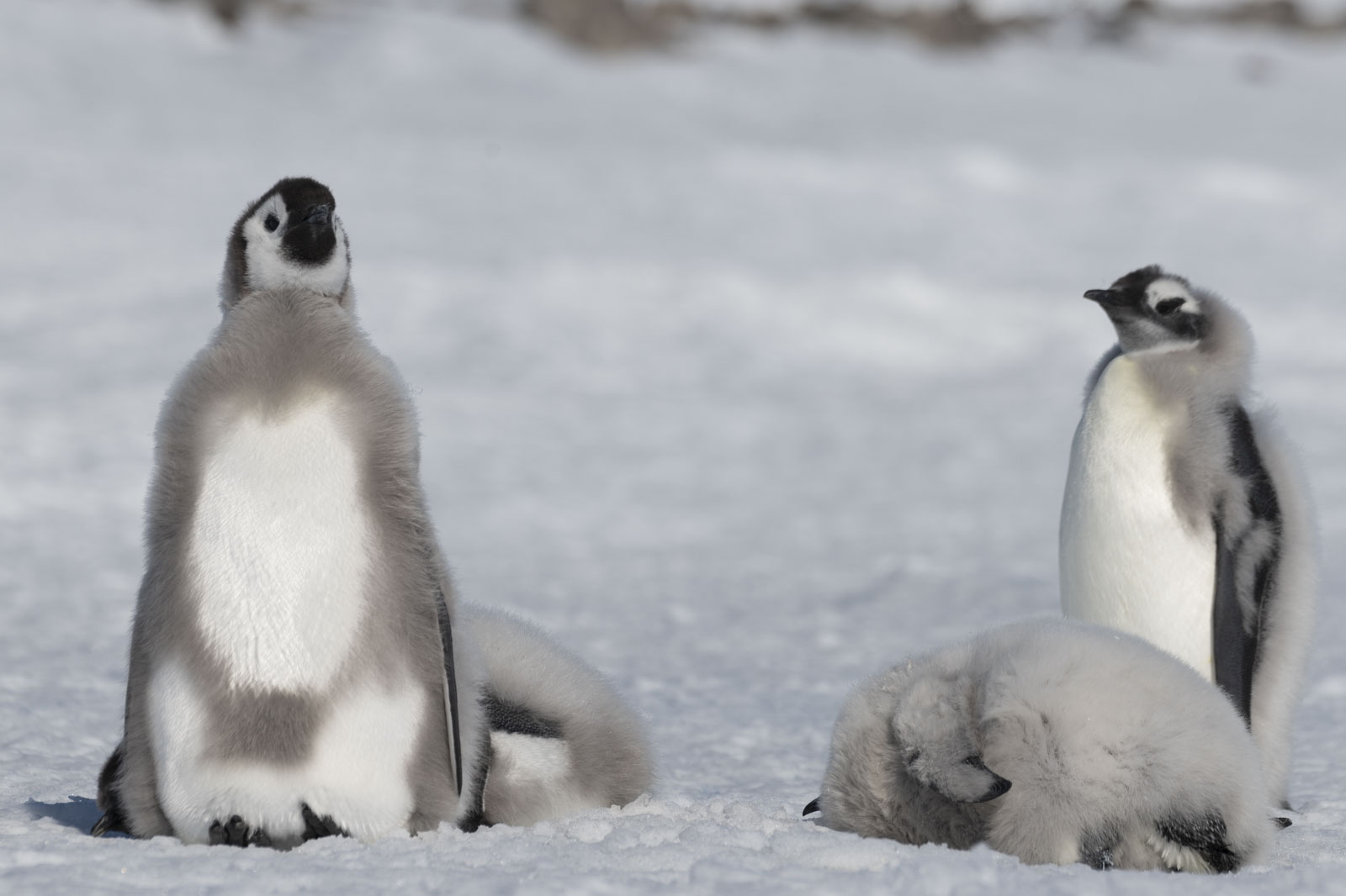 GYT 20221211 180401  DSC0946