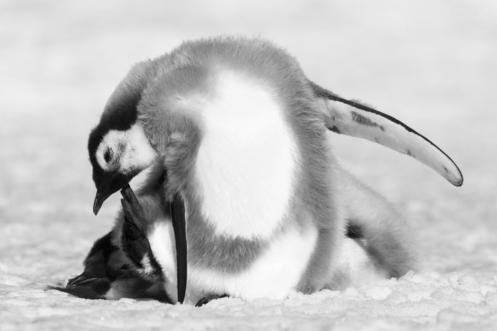 GYT 20221211 180428  DSC0949 2