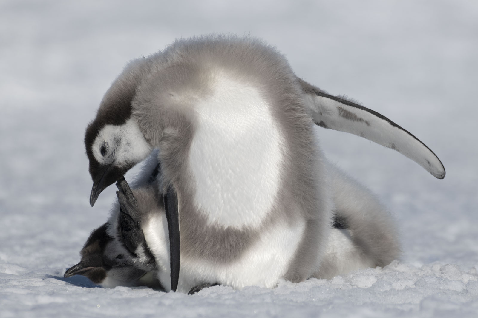 GYT 20221211 180428  DSC0949