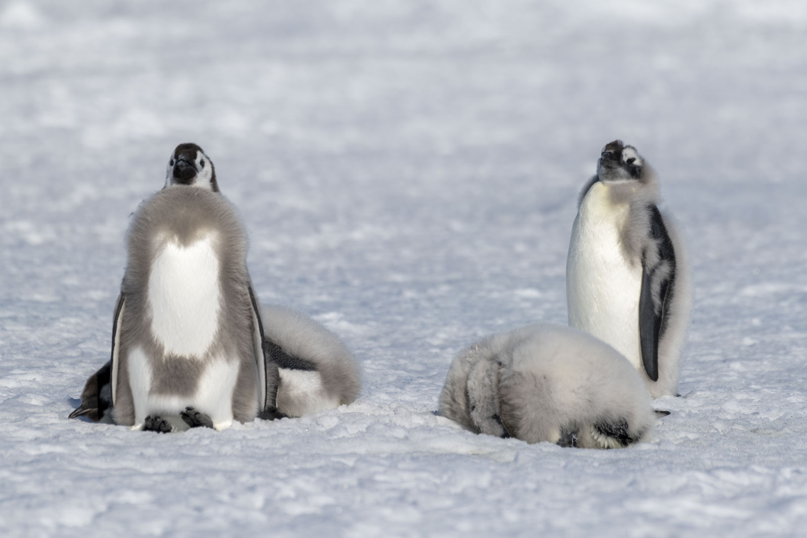 GYT 20221211 180528  DSC0951