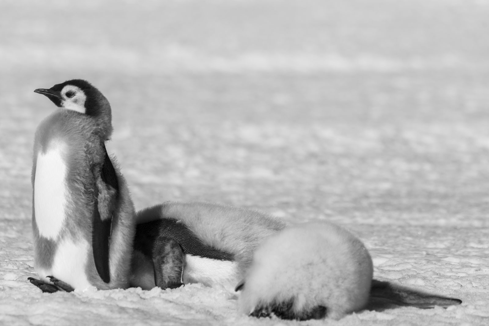 GYT 20221211 180617  DSC0953