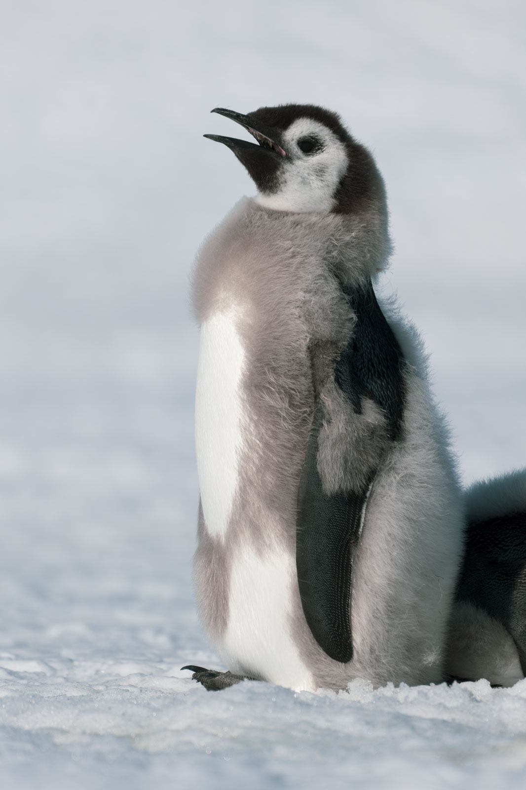 GYT 20221211 180748  DSC0959