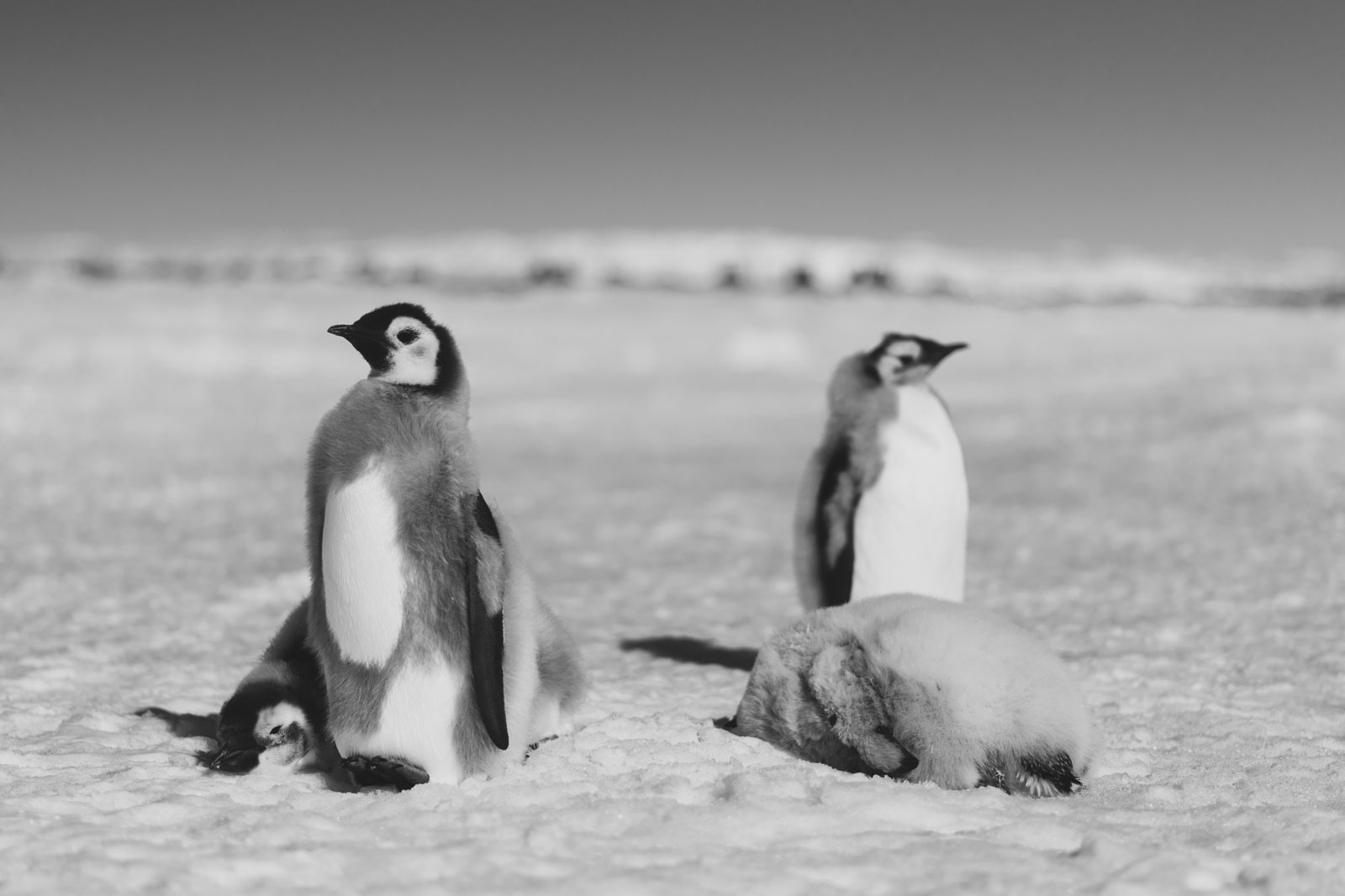 GYT 20221211 181207  DSC0970 2