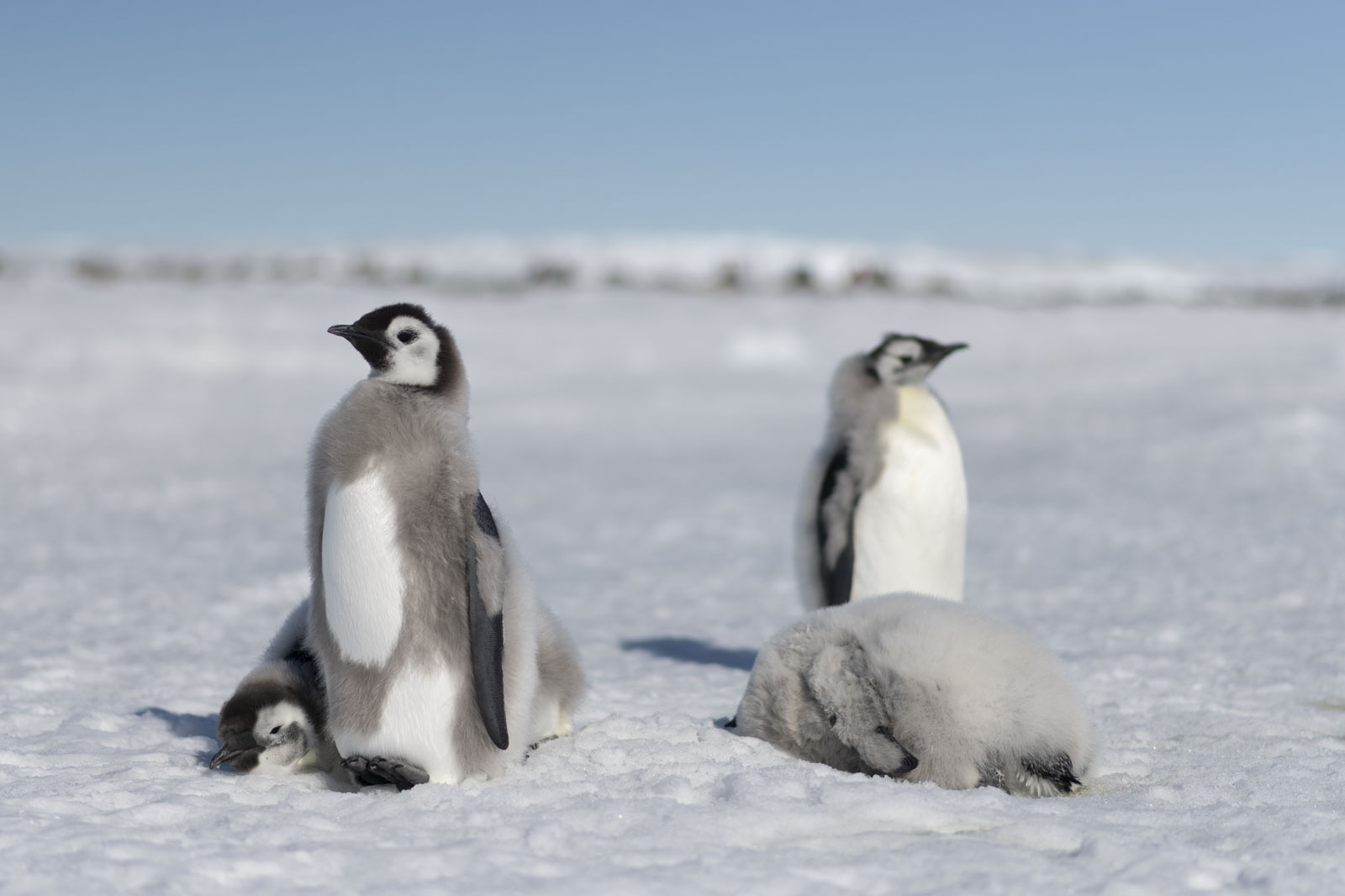 GYT 20221211 181207  DSC0970