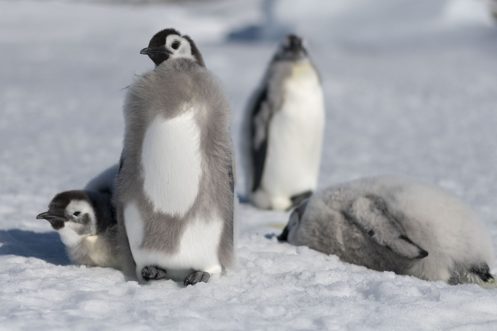 GYT 20221211 181219  DSC0971