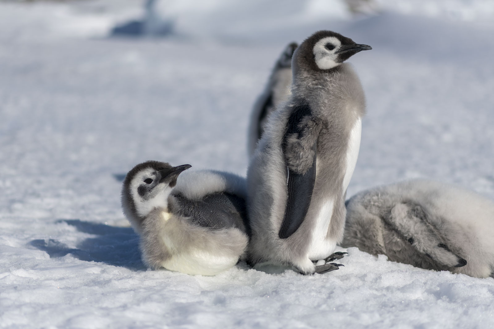 GYT 20221211 181227  DSC0972