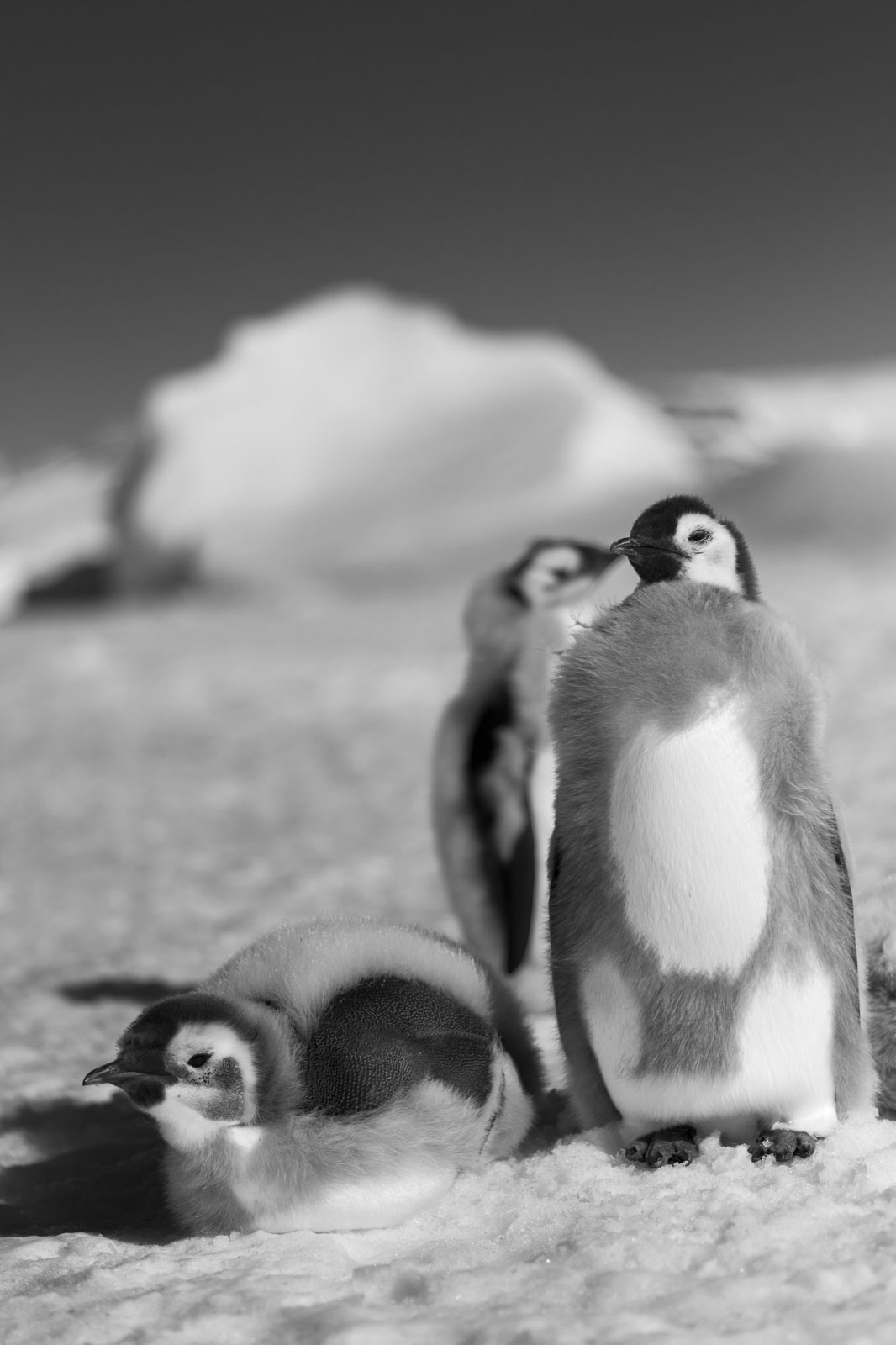 GYT 20221211 181234  DSC0973