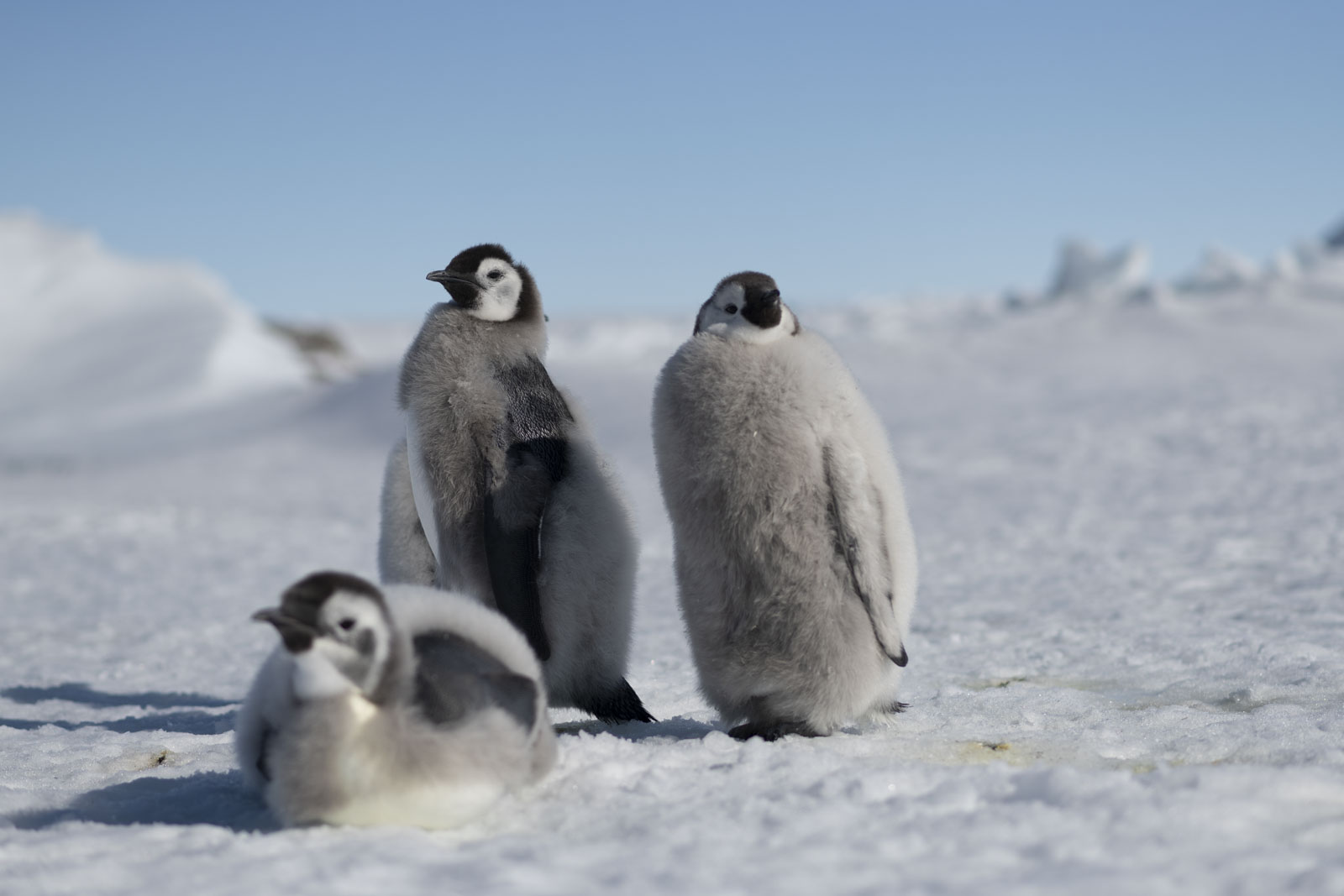 GYT 20221211 181318  DSC0979