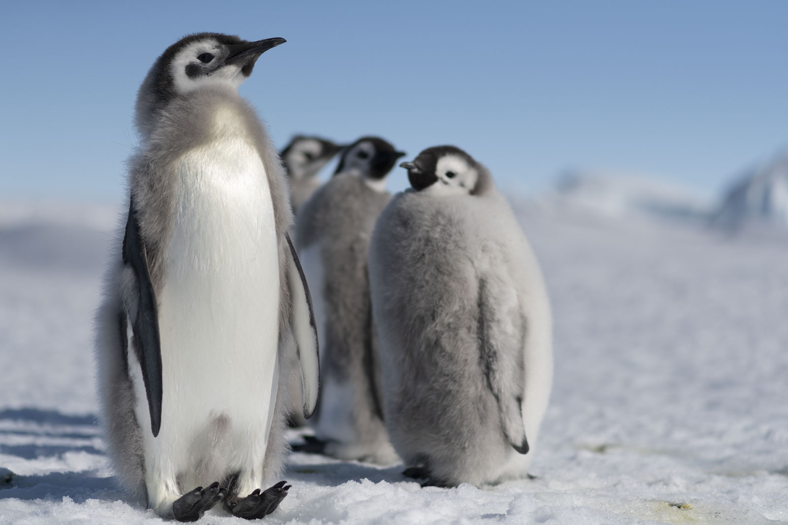 GYT 20221211 181347  DSC0983