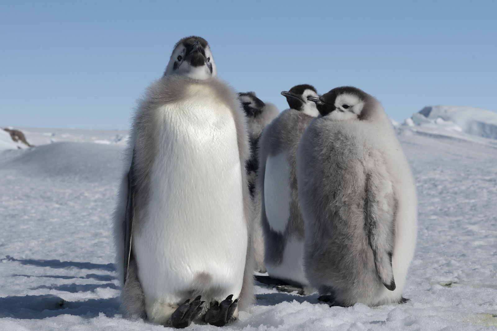 GYT 20221211 181449  DSC0987