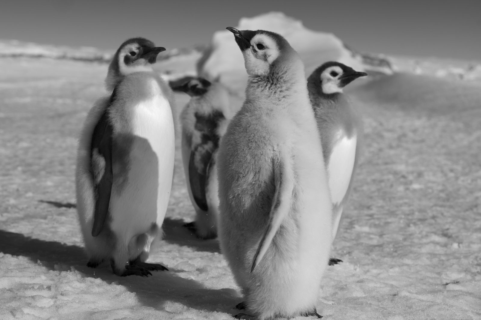 GYT 20221211 181602  DSC0992