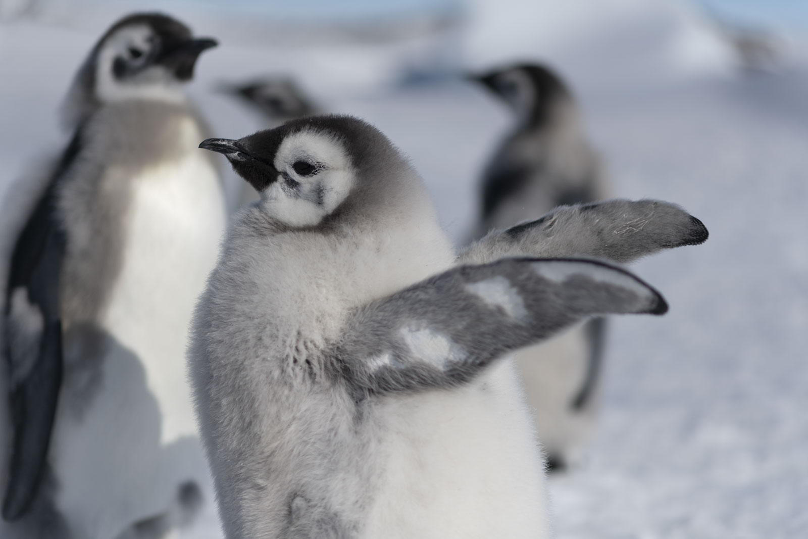 GYT 20221211 181648  DSC0993