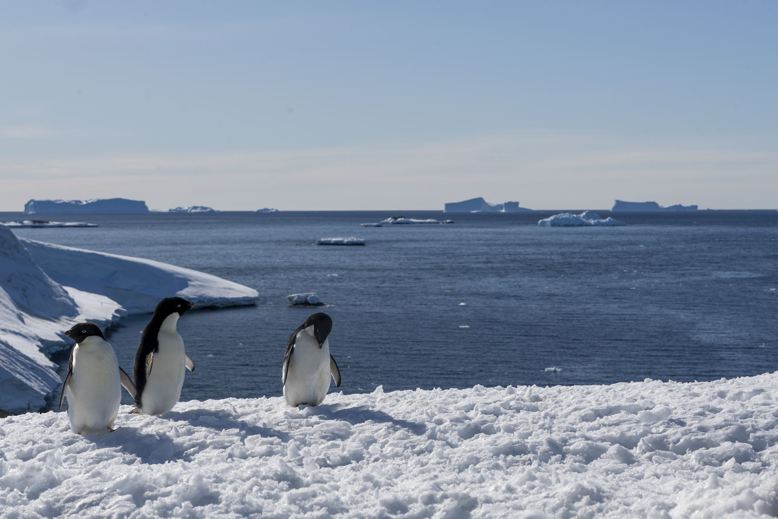 GYT 20221211 182600  DSC0997