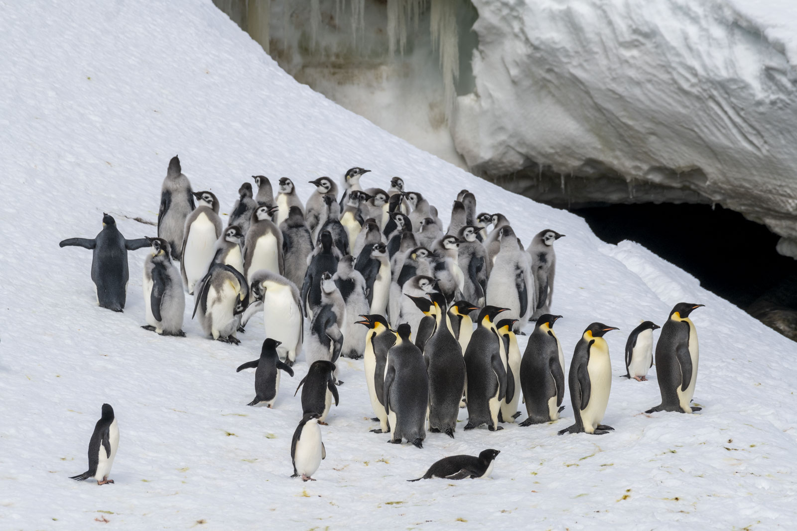 GYT 20221213 100743  DSC1018