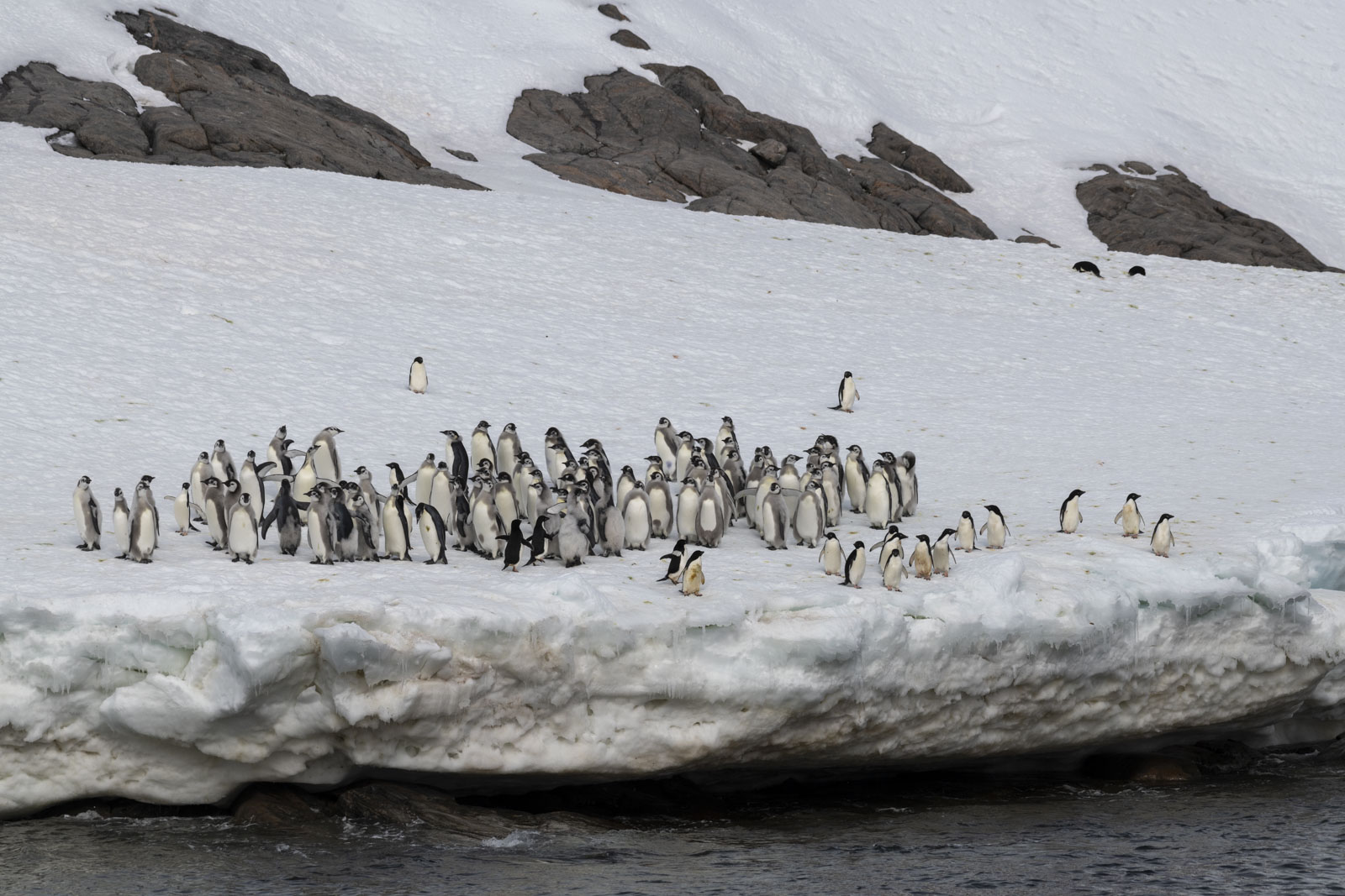 GYT 20221213 100817  DSC1020