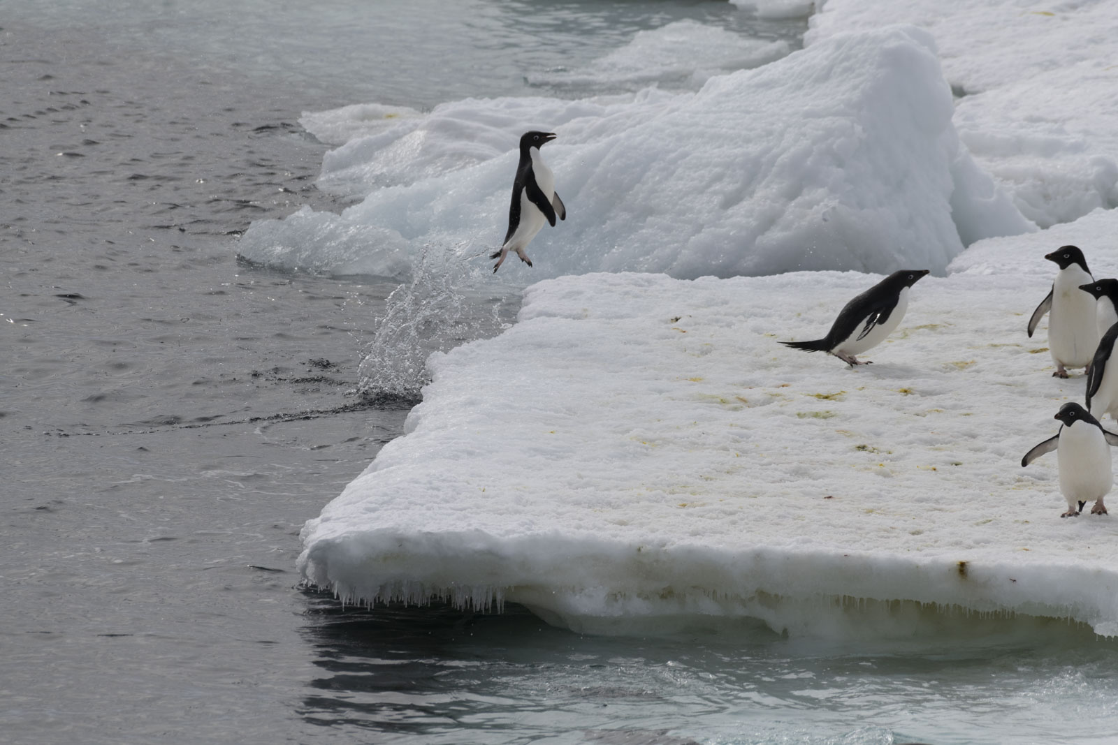 GYT 20221213 100921  DSC1022