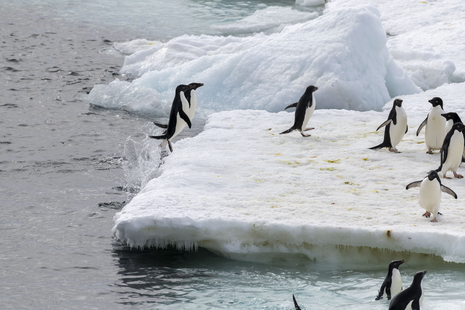 GYT 20221213 100922  DSC1023