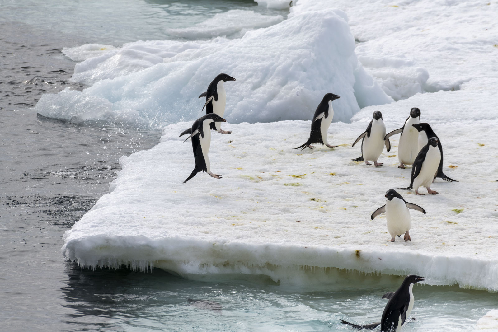 GYT 20221213 100922  DSC1024