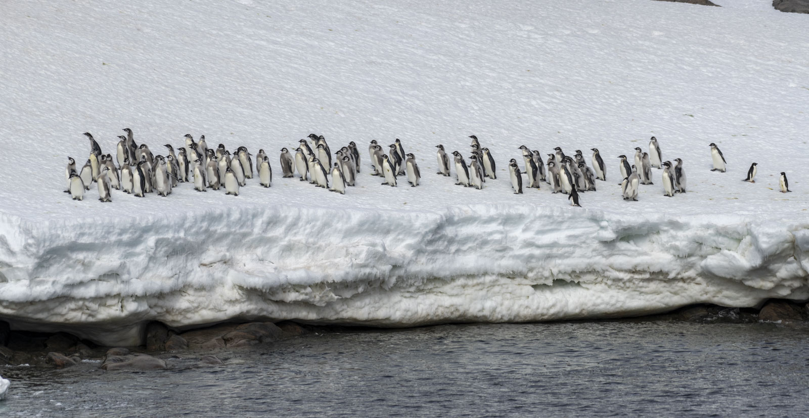 GYT 20221213 101229  DSC1027