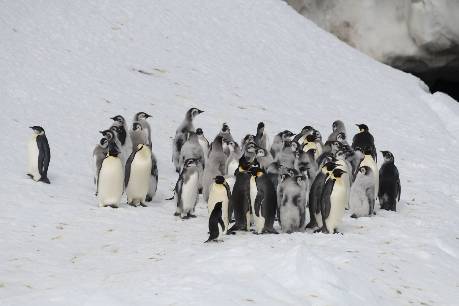 GYT 20221213 101737  DSC1033