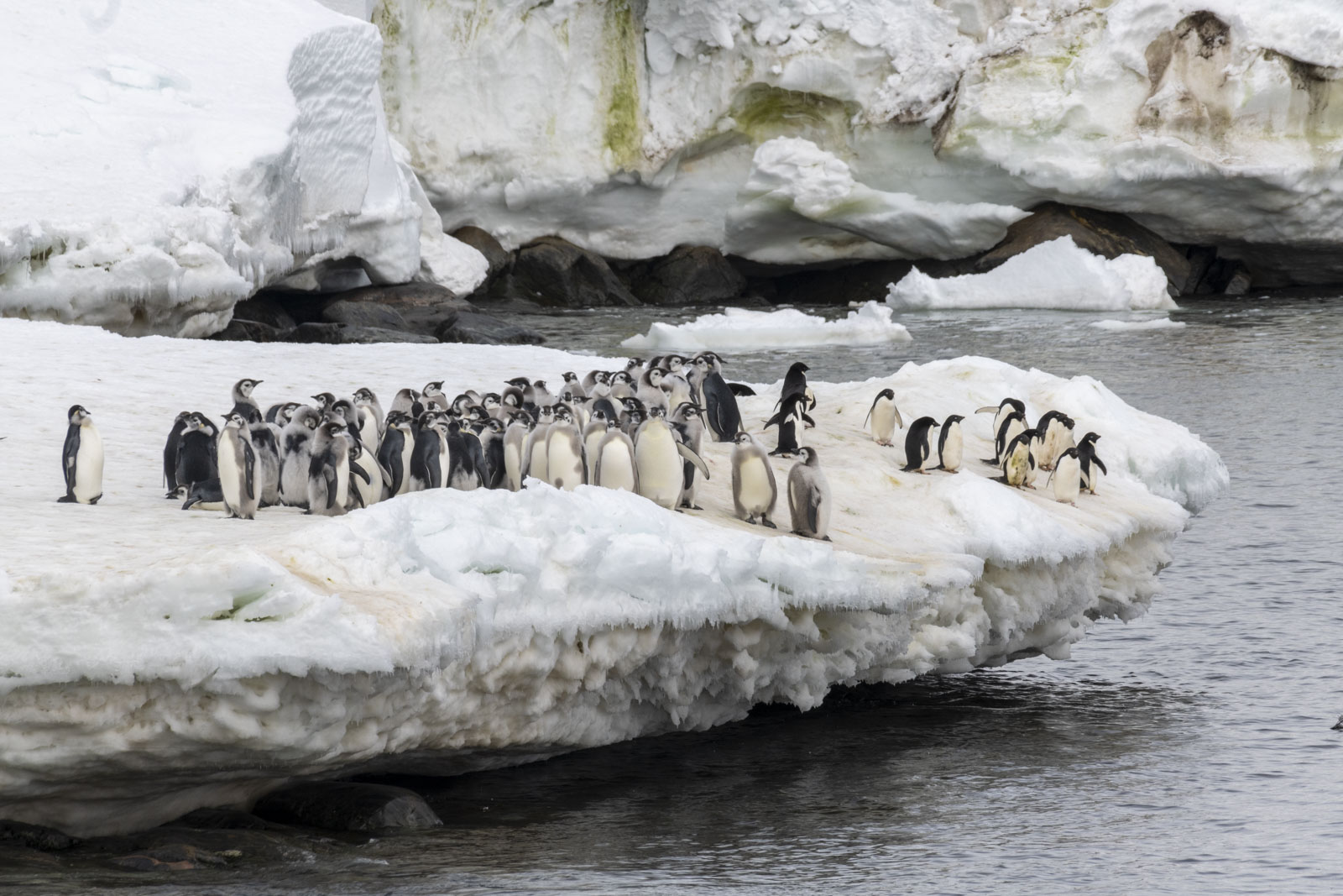 GYT 20221213 110242  DSC1043