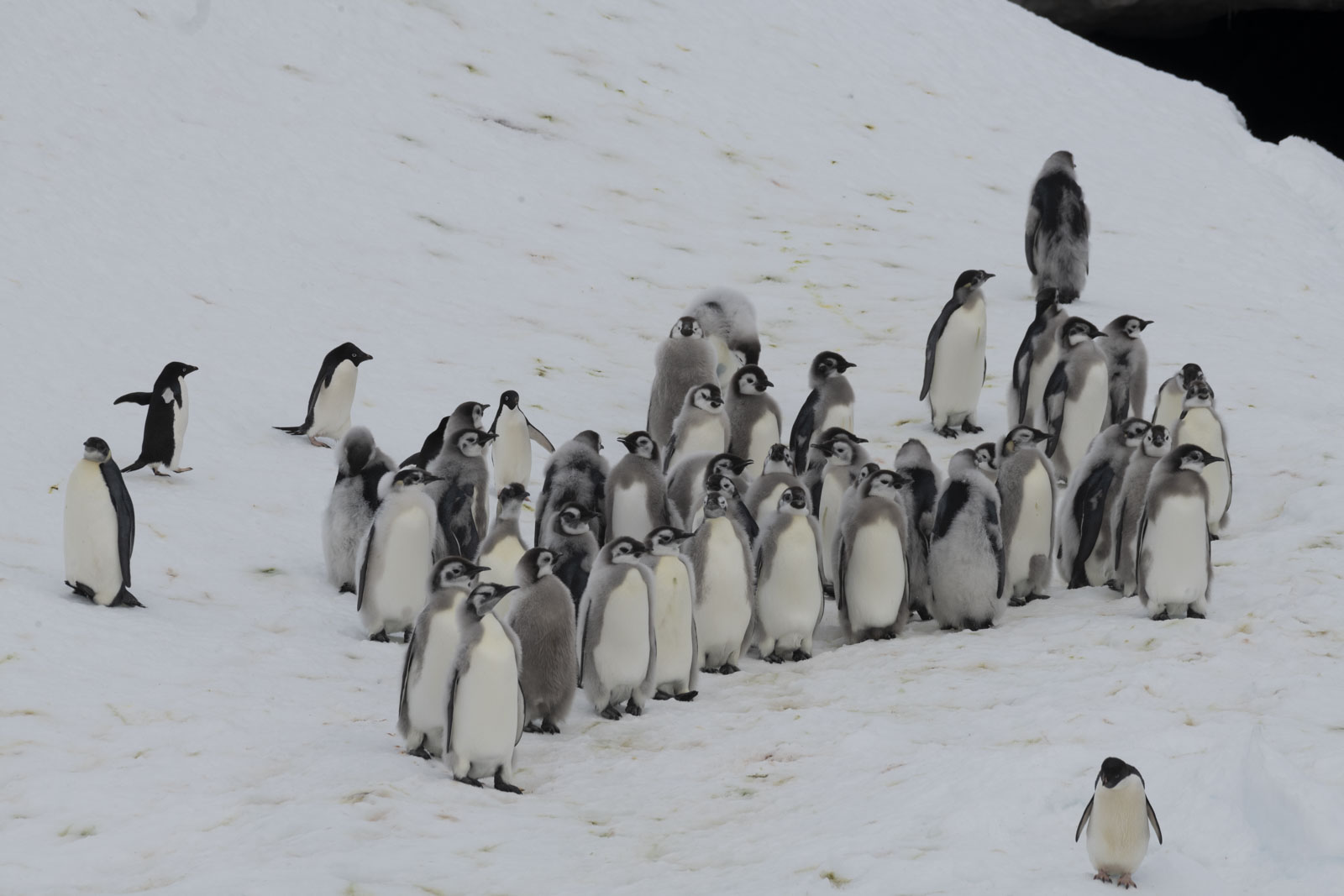 GYT 20221213 113537  DSC1073