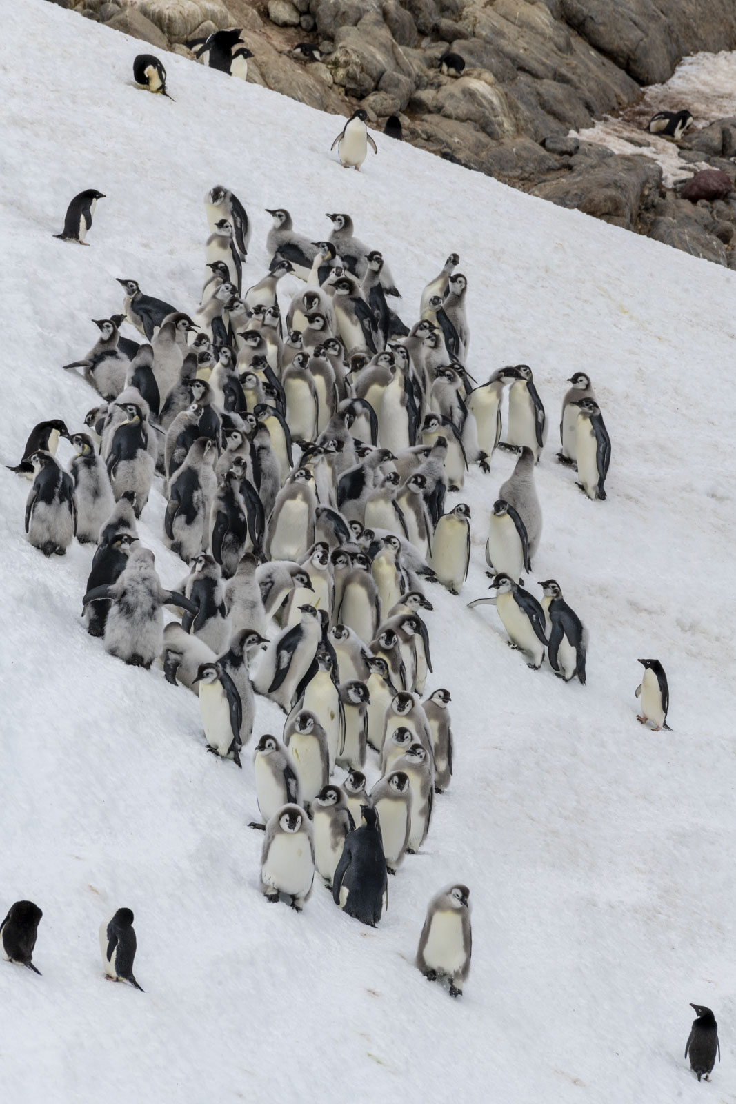 GYT 20221213 113946  DSC1078