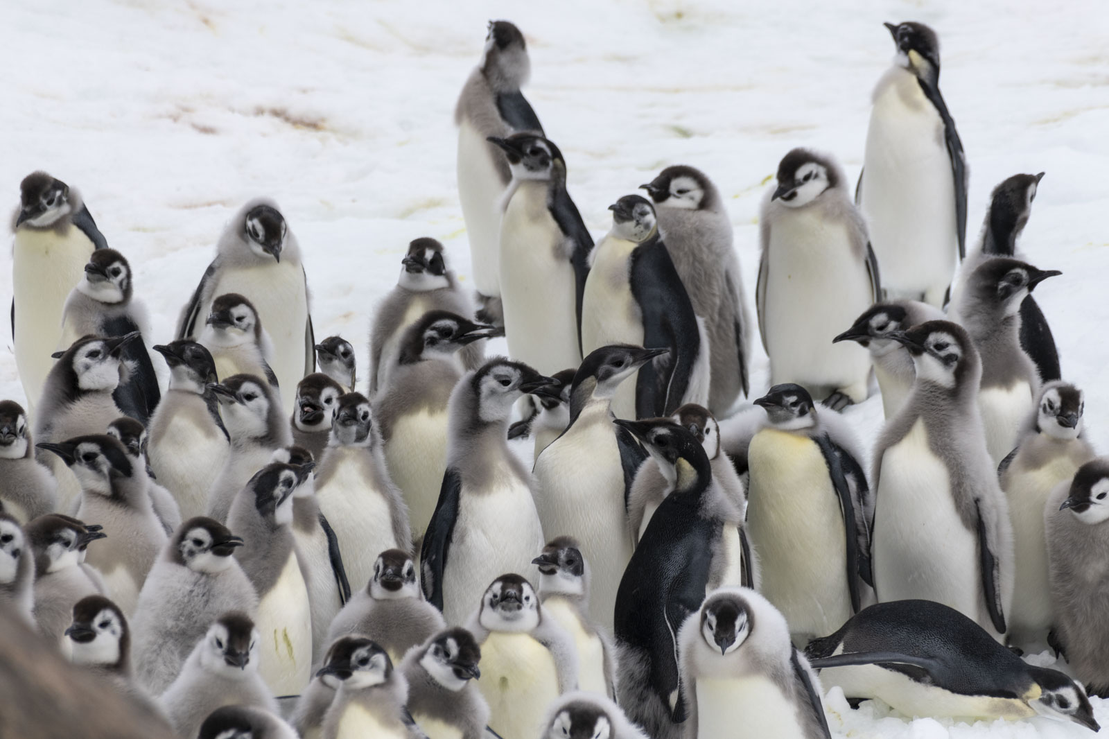 GYT 20221213 114955  DSC1081