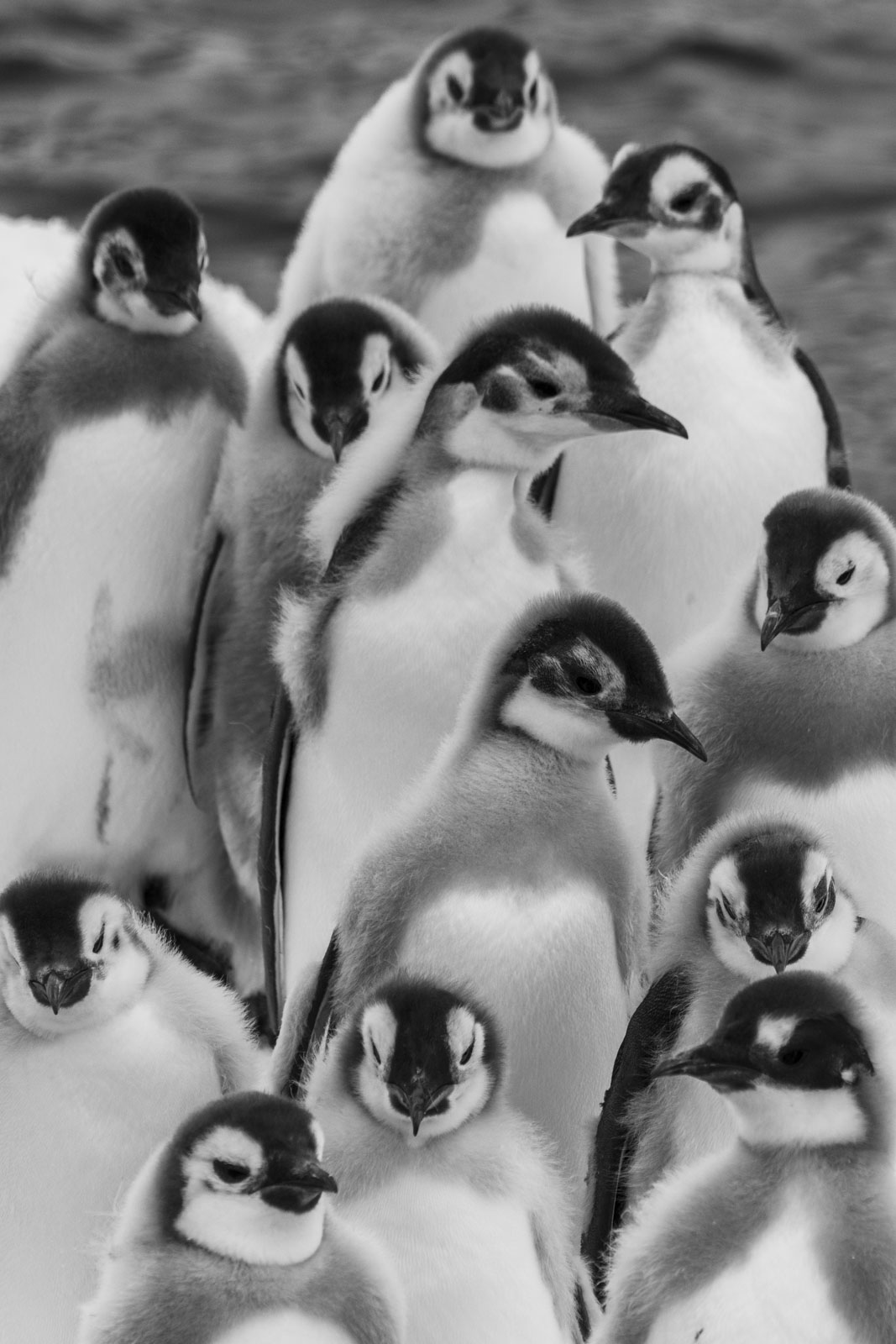 GYT 20221213 115202  DSC1083